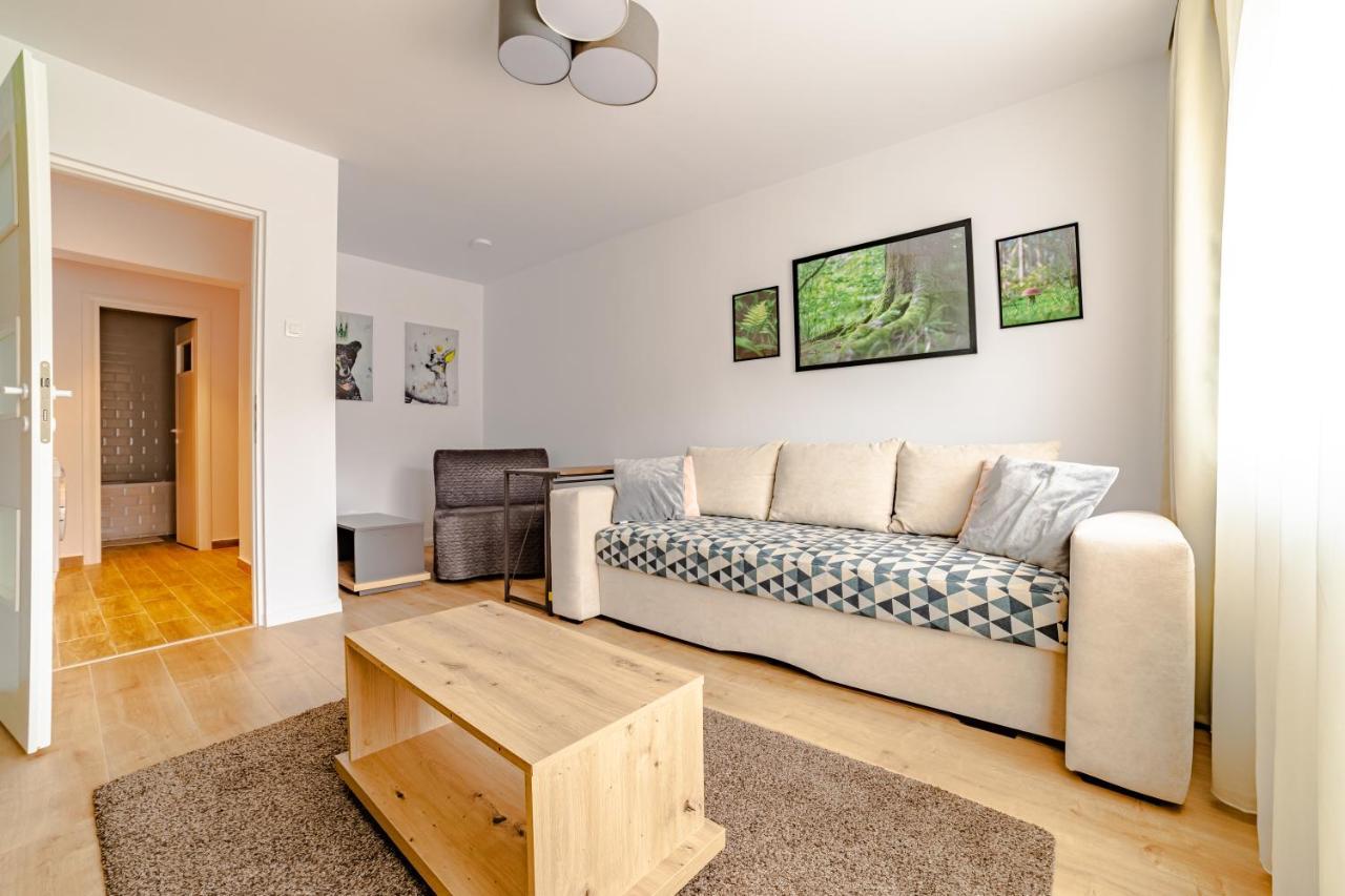 Mid-Term Rental Racadau Apartment Brașov Exterior foto